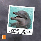 صورة الغلاف المحلية