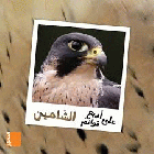 صورة الغلاف المحلية