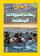 صورة الغلاف المحلية