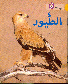 صورة الغلاف المحلية