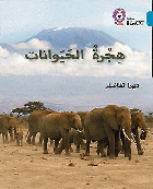 صورة الغلاف المحلية