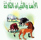 صورة الغلاف المحلية