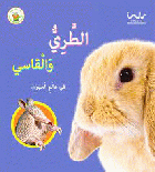 صورة الغلاف المحلية