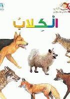 صورة الغلاف المحلية