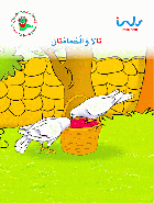 صورة الغلاف المحلية